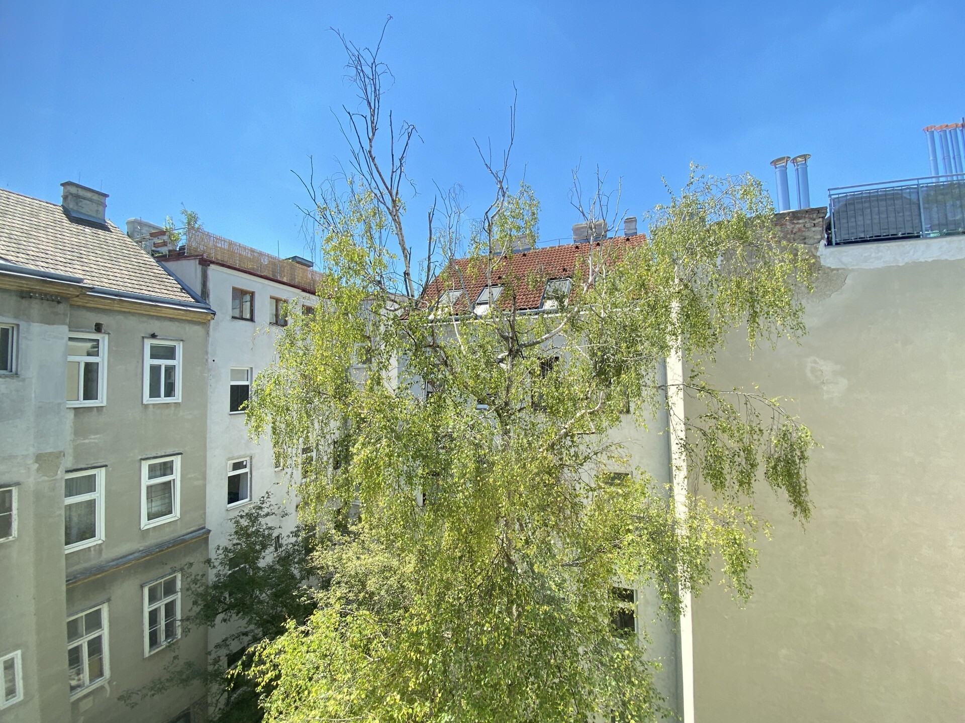Altbaujuwel: 2-Zimmer Altbauwohnung mit Balkonoption - zu kaufen in 1160 Wien
