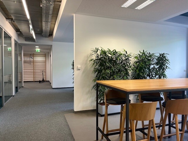 Moderne Bürofläche Linz Zentrum ab Jänner 2025!